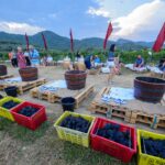 ชวนเที่ยวไร่องุ่นหัวหิน รสชาติดี-บรรยากาศชิลๆ