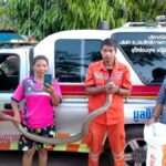 เห็นตัวเป็นๆถึงตะลึง‘พญาบองหลา’ตัวใหญ่ยักษ์ เจ้าของบ้านเจอซุกห้องน้ำผงะโกยอ้าว