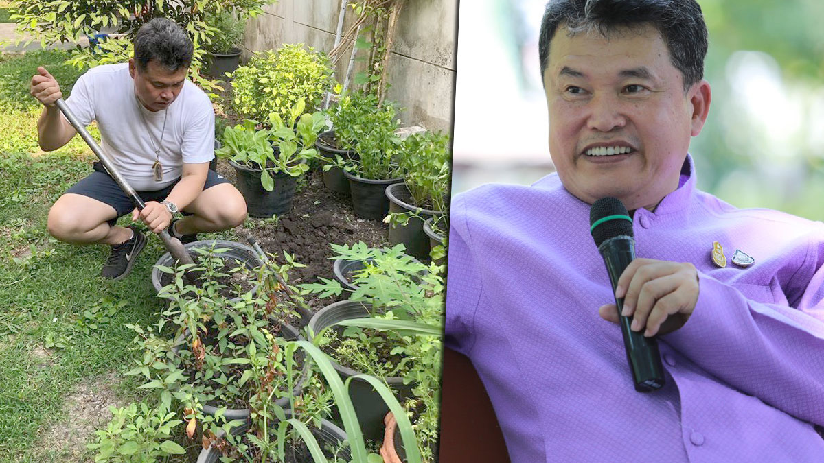 พช.รณรงค์ปลูกผักสวนครัวรั้วกินได้ ทุกครัวเรือนภายใน 90 วัน - ข่าวสด พช.รณรงค์ปลูกผักสวนครัวรั้วกินได้ ทุกครัวเรือนภายใน 90 วัน - ข่าวสด