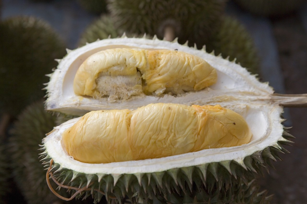 แกนกลางในผลทุเรียนที่กินไม่ได้ สามารถนำมาผลิตเป็นตัวเก็บประจุยิ่งยวด (Ultracapacitor)