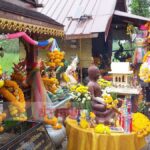 เอาเลขที่บ้านเสี่ยงทายที่ศาลเก่า! ฝันพ่อปู่ศรีสุทโธไปบอก ให้จ้างหมอลำคณะดังมาฉลอง(คลิป)