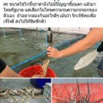 เพจมั่วใช้รูปสาว เที่ยวผับไม่สนคำสั่งสกัด โควิด เตรียมแจ้งตร.เอาผิด