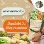 5 วิธีลัดบอกลาความคิด “ผักไม่อร่อย กลัวสารเคมี” 