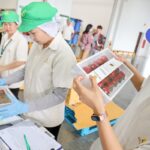 สตรอว์เบอร์รี่พระราชทาน ๘๐ สร้างรายได้เกษตรกรพื้นที่สูง “ตามรอย...ดอยคำ” สืบสาน-สานต่อ โครงการพระราชดำริในหลวง ร.9