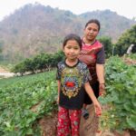 สตรอว์เบอร์รี่พระราชทาน ๘๐ สร้างรายได้เกษตรกรพื้นที่สูง “ตามรอย...ดอยคำ” สืบสาน-สานต่อ โครงการพระราชดำริในหลวง ร.9