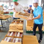 สตรอว์เบอร์รี่พระราชทาน ๘๐ สร้างรายได้เกษตรกรพื้นที่สูง “ตามรอย...ดอยคำ” สืบสาน-สานต่อ โครงการพระราชดำริในหลวง ร.9