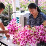ร้านแอร์ออร์คิดส์ ซูเปอร์มาร์เก็ตกล้วยไม้แห่งแรกของไทย