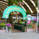 ร้านแอร์ออร์คิดส์ ซูเปอร์มาร์เก็ตกล้วยไม้แห่งแรกของไทย