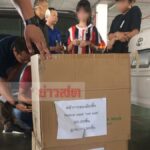 อย่าปล่อยให้ลอยนวล! ตำรวจปคบ.ล่อซื้อ-ลุยจับโก่งราคาขายหน้ากากอนามัยได้มาเพียบ