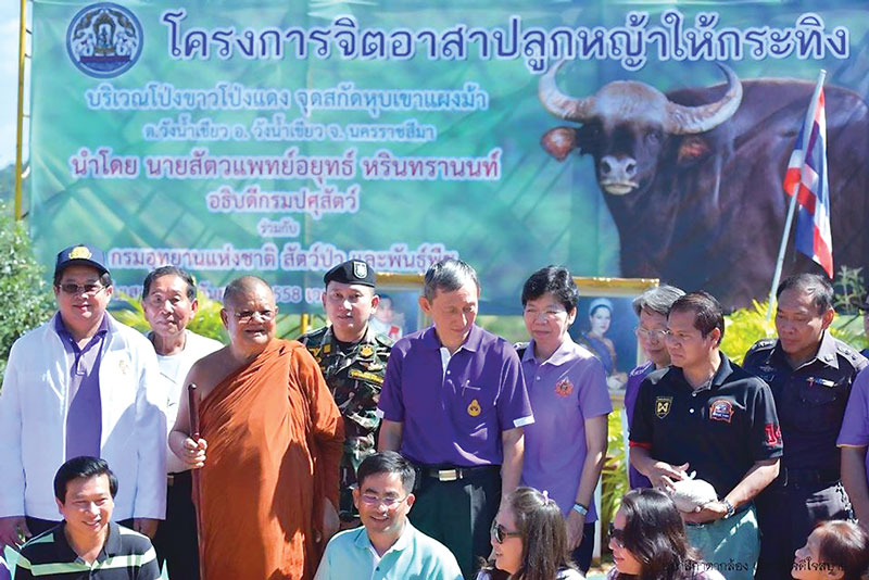 ความจริงจากเขาแผงม้า กระทิงป่ากับหลวงพ่อกัณหา