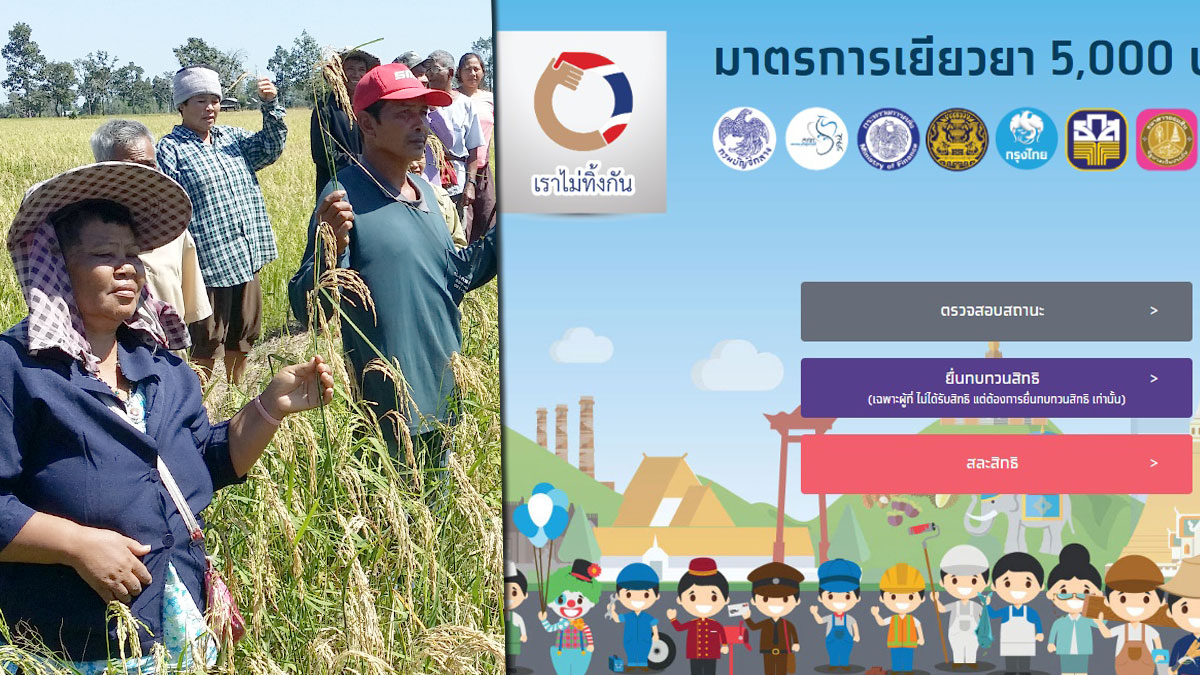 à¸„à¸£à¸­à¸šà¸„à¸£ à¸§à¹€à¸à¸©à¸•à¸£à¸à¸£à¸£ à¸šà¹€à¸‡ à¸™ 2 à¹€à¸