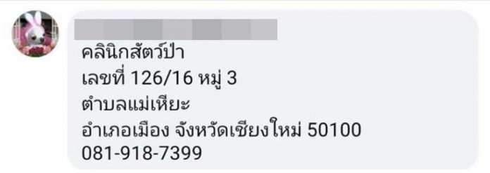 แคนดี้ โพสต์ขอ ผ้าขนหนู นำไปช่วยเหลือสัตว์