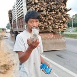 คลิประทึก! 18ล้อ ยางแตก ชนเสาไฟทะลุร้านเฟอร์นิเจอร์ ท่อนซุงเกลื่อน