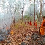 ระทึก! พระ-เณรกว่า 20 ชีวิตลุยสกัดไฟป่า ไม่ให้ลามเผาวัดที่ลำพูน