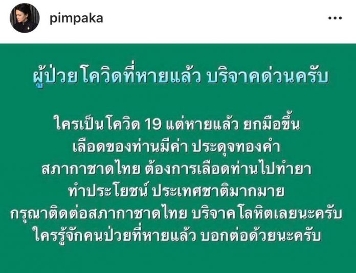 แม่หมู