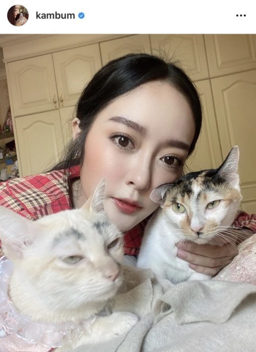 แก้มบุ๋ม สวมบทหมอจำเป็น ช่วยทำคลอดแมว