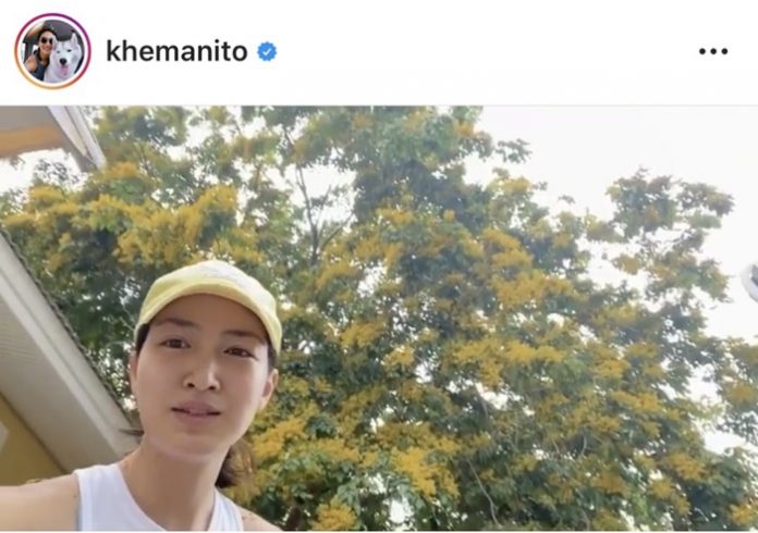 แพนเค้ก สะพรึง ต้นประดู่ ดอกบานสะพรั่ง