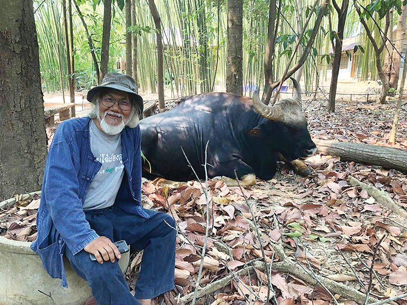 กระทิงทองดีขวัญใจวังน้ำเขียว