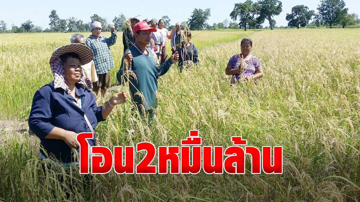 โอนแล้ว2หมื่นล้าน! เยียวยา เกษตรกร เคาะวันยื่นอุทธรณ์คนไม่ได้เงิน - ข่าวสด
