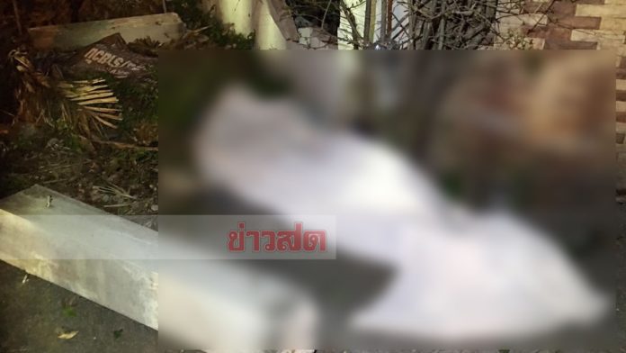 ซิ่งกระบะฝ่าสายฝน