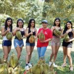 พิษโควิด! สาวแดนเซอร์วงดัง นุ่งสายเดี่ยว ขนทีมเก็บทุเรียน เลี้ยงปากท้อง
