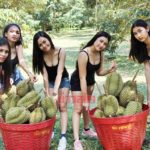 พิษโควิด! สาวแดนเซอร์วงดัง นุ่งสายเดี่ยว ขนทีมเก็บทุเรียน เลี้ยงปากท้อง