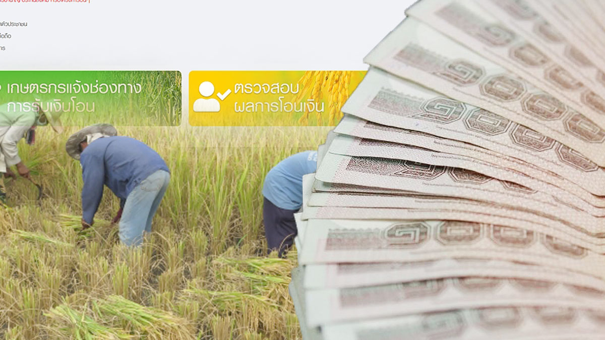 เช็กด่วน! ธ.ก.ส. เริ่มโอนเงิน เยียวยาเกษตรกร 5,000 บาทแล้ววันนี้