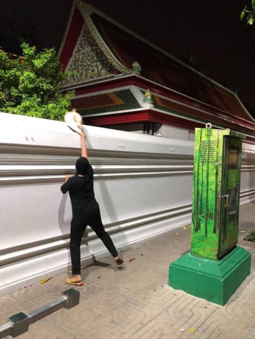 จับแมวใส่ถุงทิ้ง