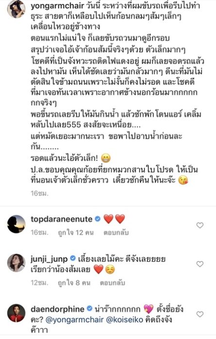 โย่ง อาร์มแชร์ เห็นก้อนกลมสีส้ม จอดรถลงช่วยเหลือ เหมียวน้อยรอดตายหวุดหวิด