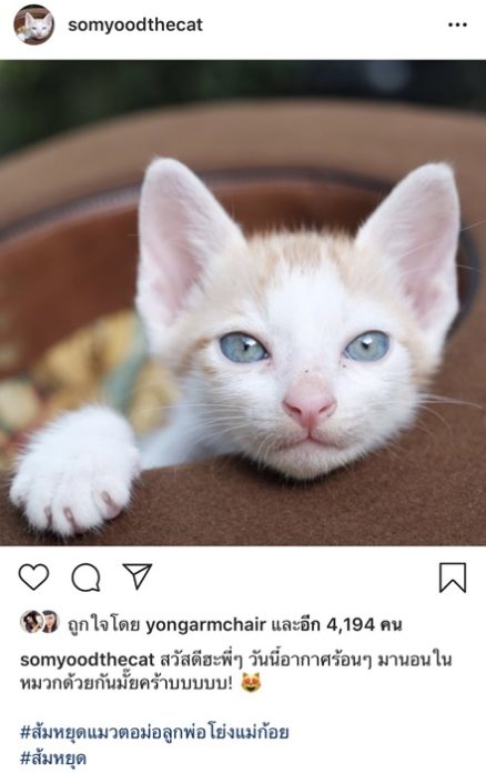 โย่ง อาร์มแชร์ เปิดไอจีให้ ส้มหยุด ไว้ส่องความน่ารัก