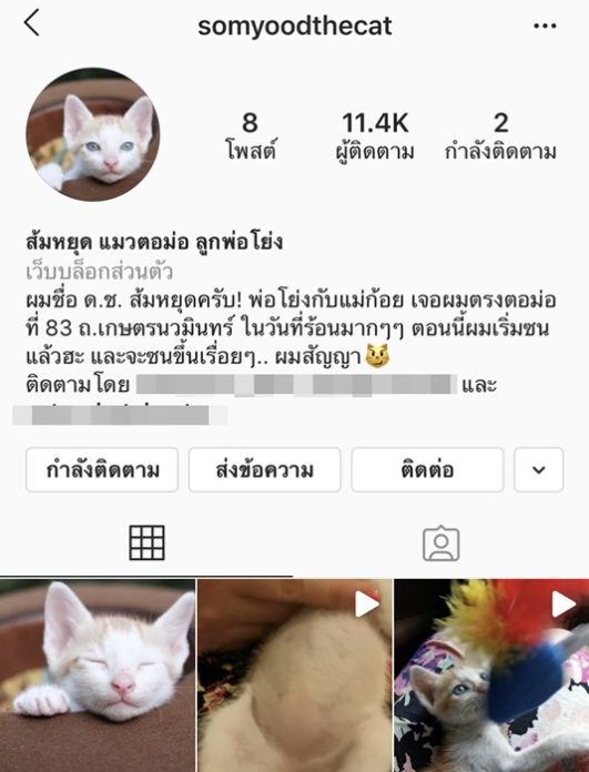 โย่ง อาร์มแชร์ เปิดไอจีให้ ส้มหยุด ไว้ส่องความน่ารัก
