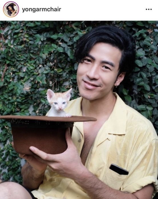 โย่ง อาร์มแชร์ อัพเดต! แมวส้มหยุด ตรวจร่างกายเชื้อบิดหายแล้ว