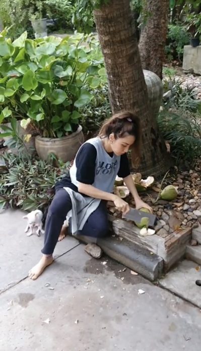 ปาล์มมี่ ขอบ้าง สอยมะพร้าวอ่อน
