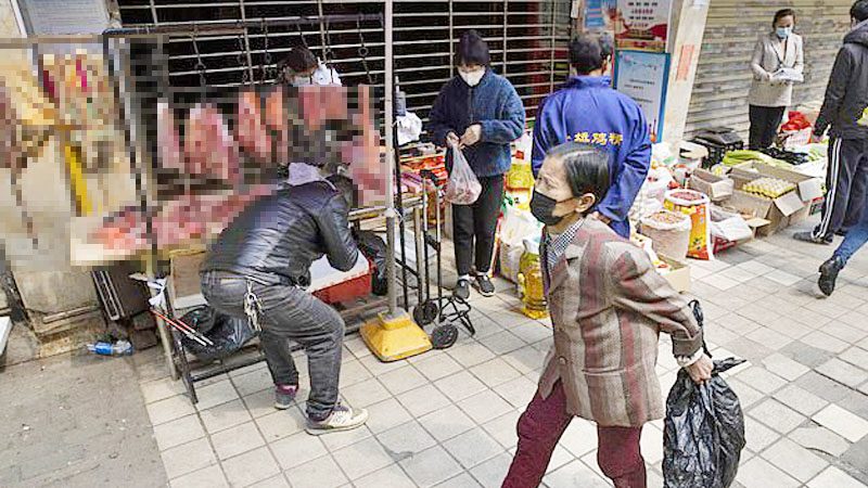 โควิด: อู่ฮั่นแบนกิน “สัตว์ป่า”