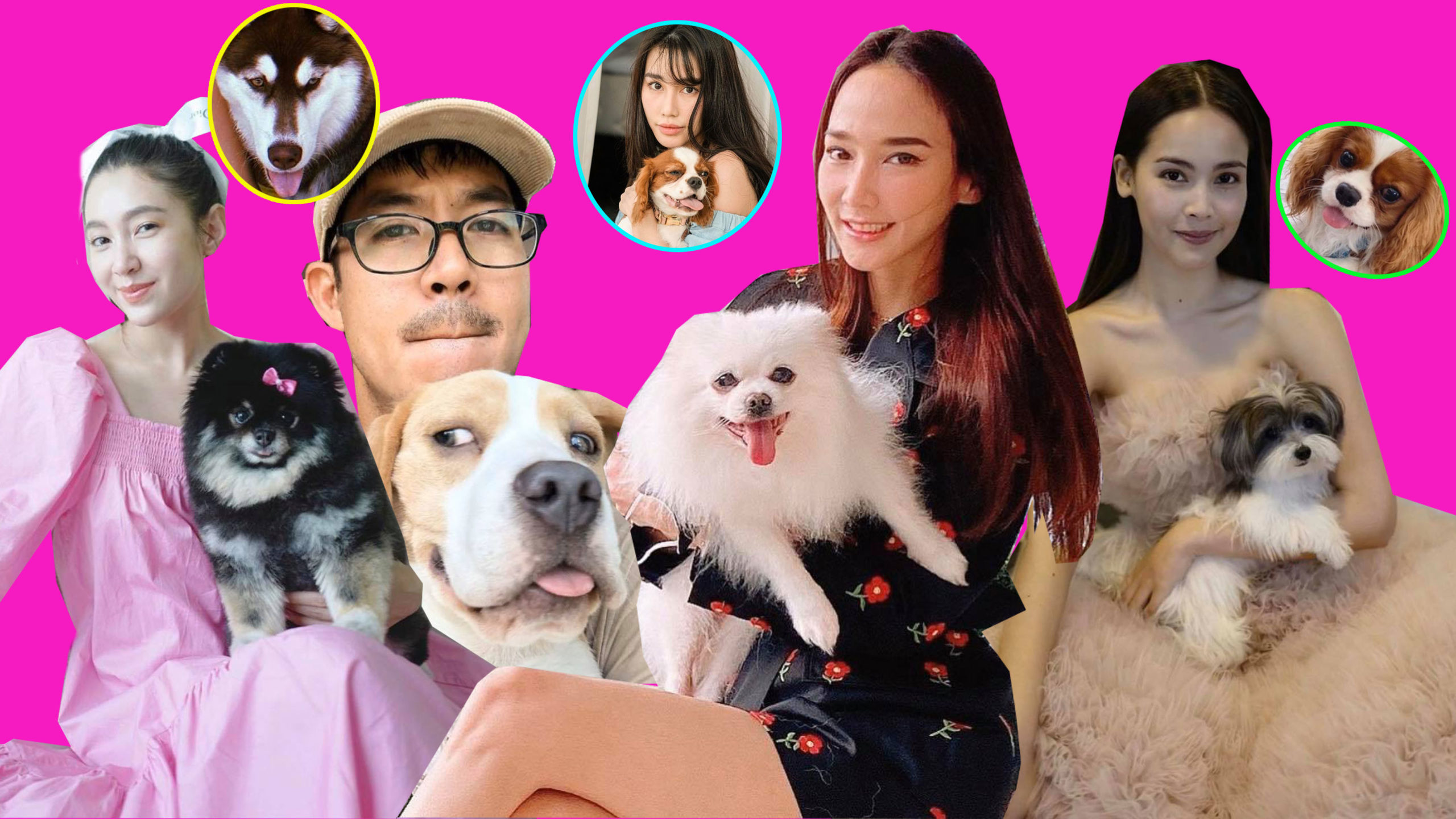 เปิดวาร์ป! รวมเหล่าดารา รักหมา สัตว์เลี้ยงคู่หู แสนรู้ คู่ใจ