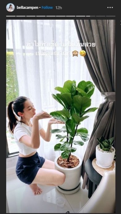 เบลล่า