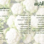 ร้านแปล้พาณิชย์ อาหารตามสั่งที่มีทีเด็ดทุกเมนู