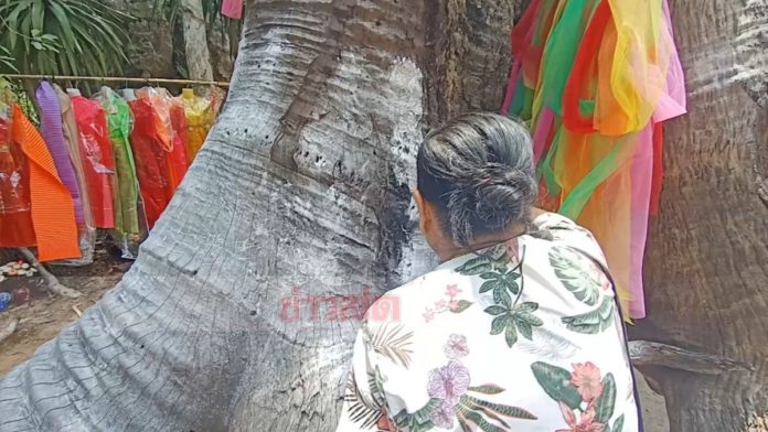 แห่ขอเลขเด็ด