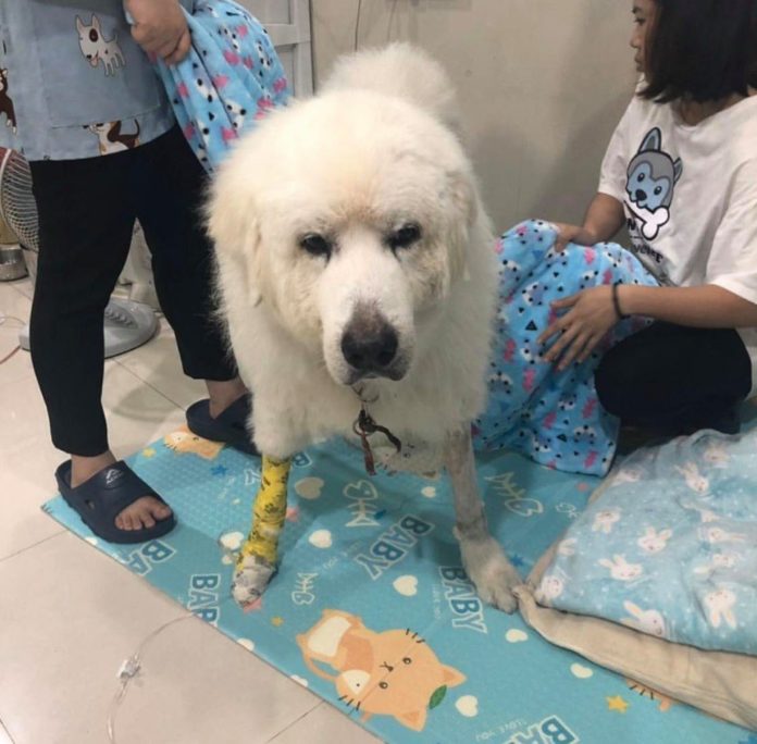 บุ๋ม ปนัดดา บุ๋ม ปนัดดา