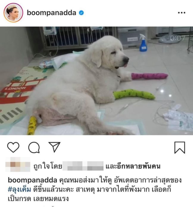 บุ๋ม ปนัดดา บุ๋ม ปนัดดา
