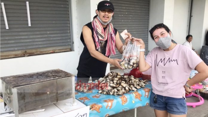  นักร้องขายหอย