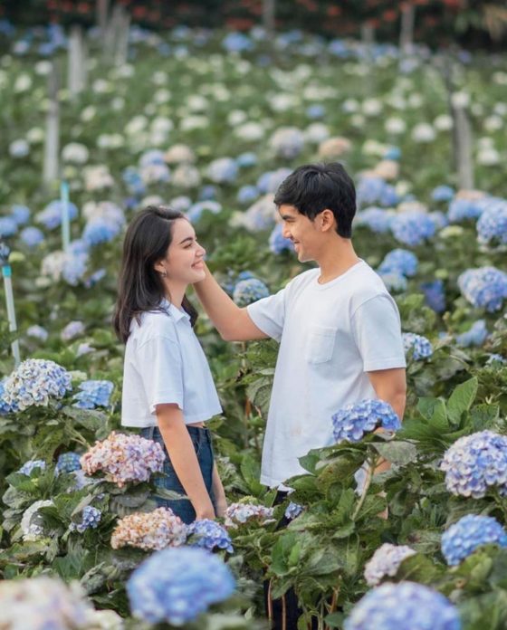 คลายล็อก เต๋อ