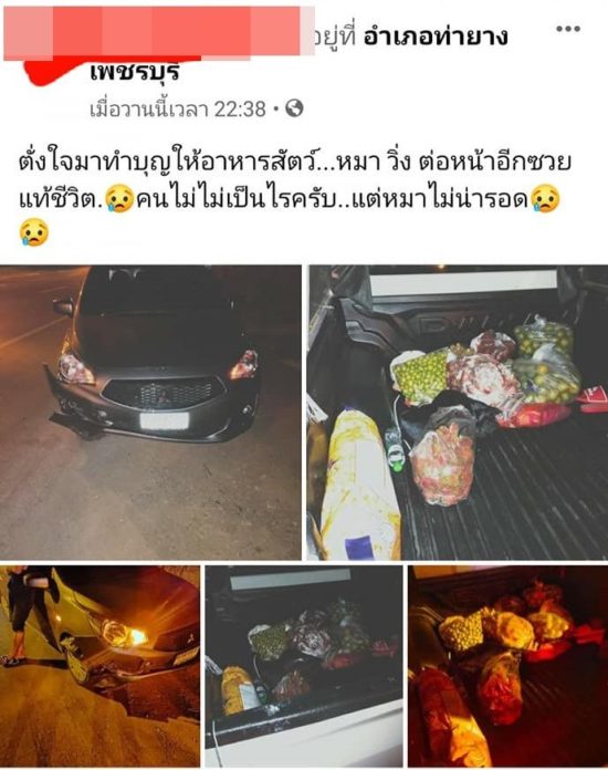 โวยชนหมาจร