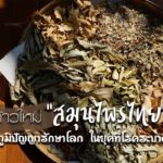 ก้าวใหม่ “สมุนไพรไทย”  ภูมิปัญญารักษาโลก ในยุคที่โรคระบาด 