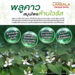 ก้าวใหม่ “สมุนไพรไทย”  ภูมิปัญญารักษาโลก ในยุคที่โรคระบาด 