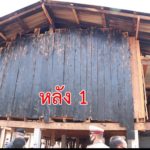 "วราวุธ"รมว.ทส. สั่งตามล่าไม้ถูกตัดจากป่า