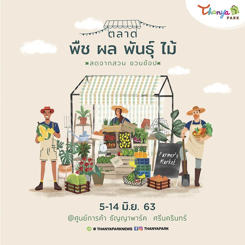 มิดเยียร์เซลล์ลดสูงสุด 70%