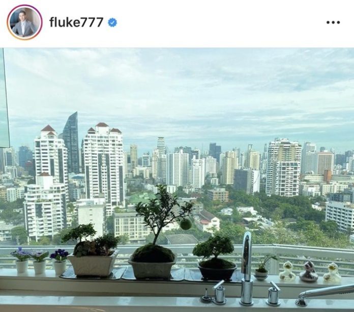 ฟลุค เกริกพล โดนแซวบ้าต้นไม้