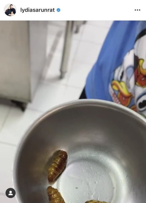 ดีแลน มองแรง ลีเดีย ชวนกินหนอน