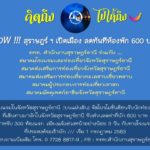 ททท.สำนักงานสุราษฎร์ธานี จัดโครงการ “สักครั้งในชีวิต@สุราษฎร์ธานี” หลังโควิด-19 คลี่คลาย